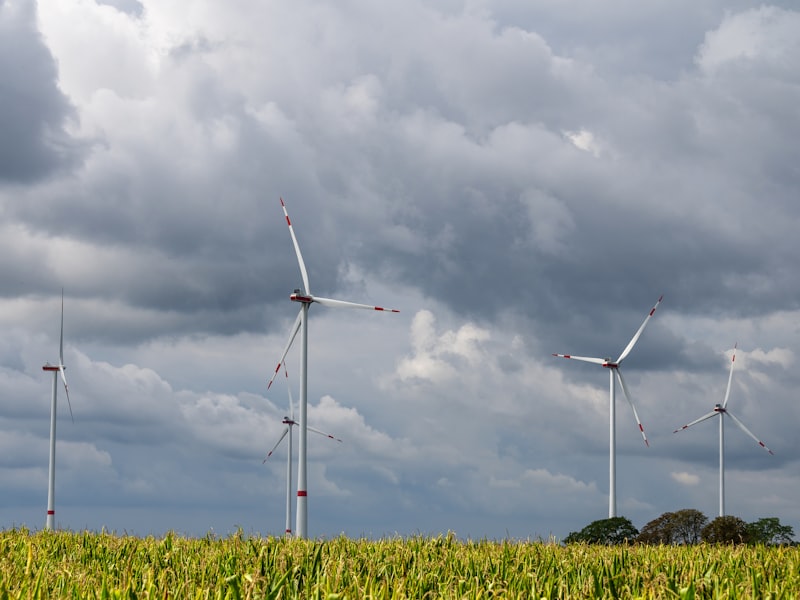 Row of wind turbines in a field